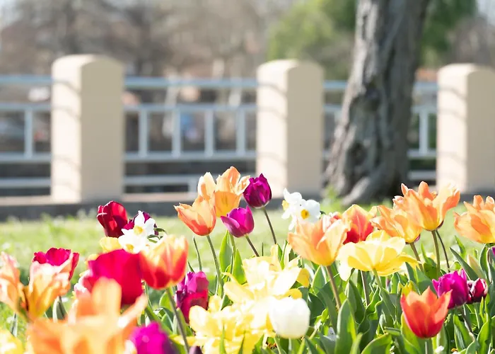 公寓 Evasions-eclipse, Centre-ville, Gare