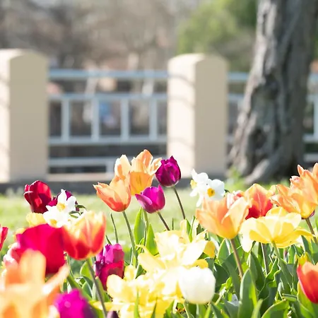 公寓 Evasions-eclipse, Centre-ville, Gare